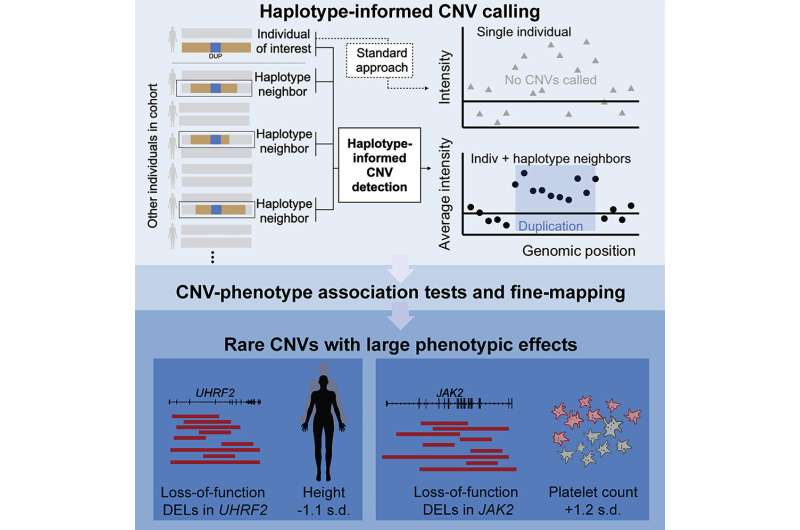 New method uncovers strong effects of copy number variants on the human genome and health