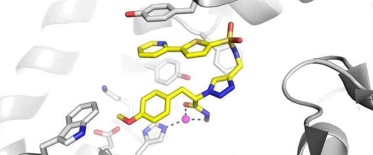 New Enzyme Inhibitor Shows Promise for Treating Cancers, Autoimmune Diseases